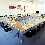 Ibis Vienna Airport 3*