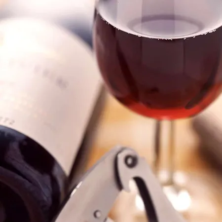 イビス ウィーン エアポート 3*