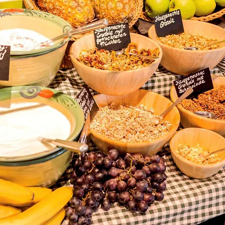 ホテル イビス ウィーン エアポート シュベッヒャート