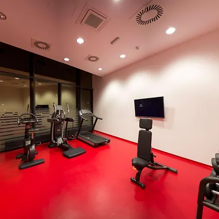 Hotel Ibis Vienna Airport Schwechat