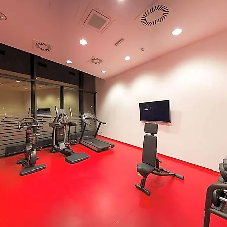 Ibis Vienna Airport 3* Schwechat