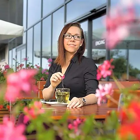 Ibis Vienna Airport Hotel Schwechat
