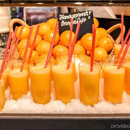 ホテル イビス ウィーン エアポート シュベッヒャート