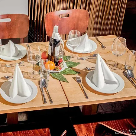 イビス ウィーン エアポート 3* シュベッヒャート