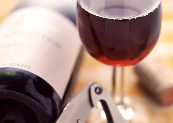 Ibis Vienna Airport 3*