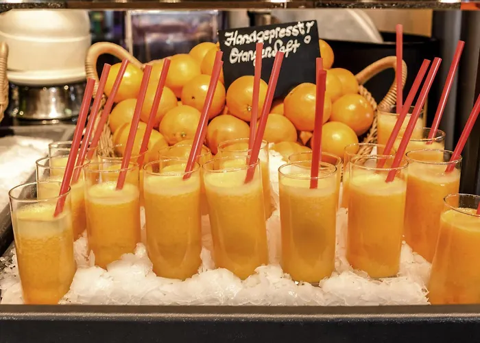 Ibis Vienna Airport Otel Schwechat